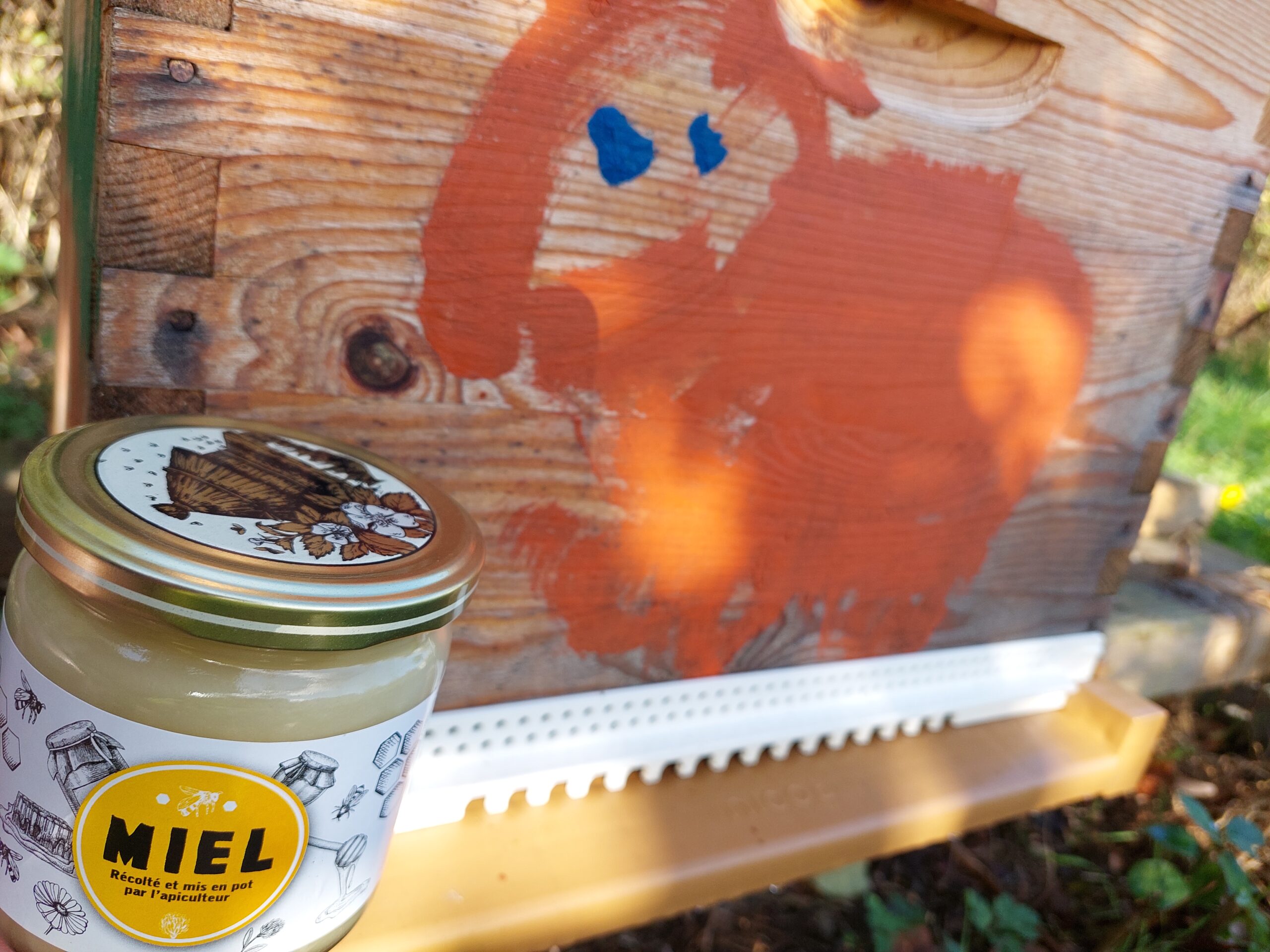 Miel local récolté et mis en pot par l'apiculteur près de chez moi !